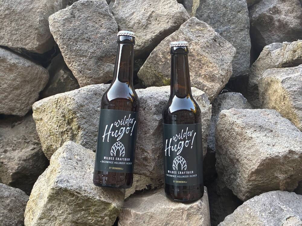 Wilde Ginger (Craft Beer Shandy) – available in packs of 6 or 12